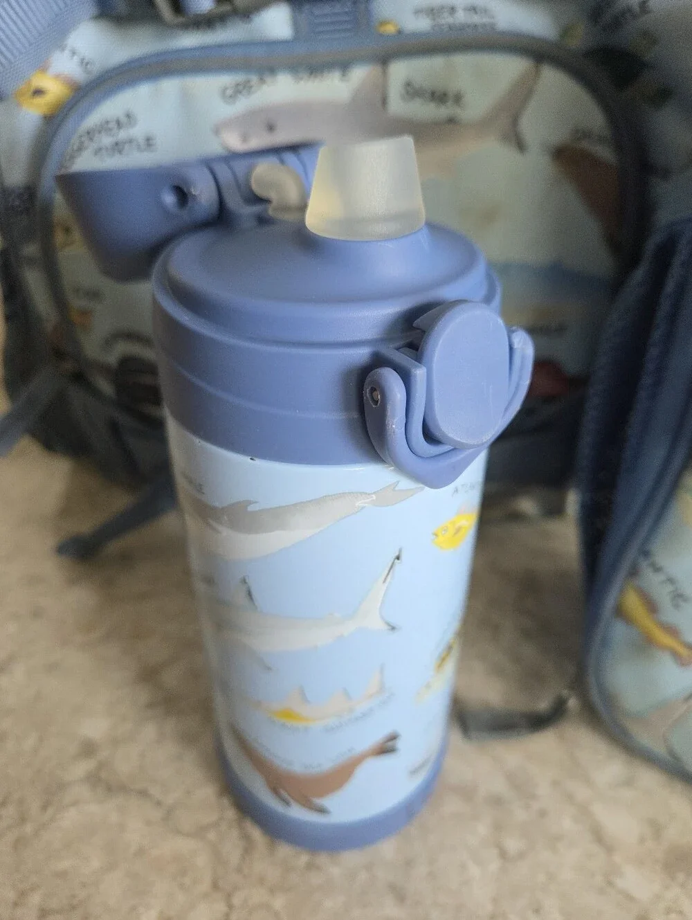 Pottery Barn Kids Shark & Sea Creatures Blue Backpack + Lunchbox Set